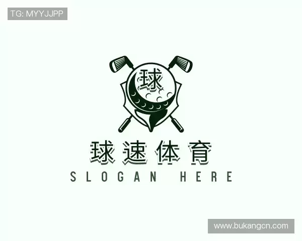 介绍球速体育在线登录